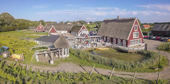 :ArildsVingård_Flygbilder_170810_003.jpg