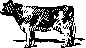 MCj03190940000[1]